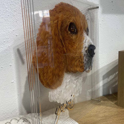 3D Pet Portrait(Hand-Painted)